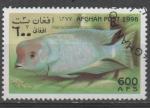 AFGHANISTAN N 1806  o MI 1998  Poisson (Haphachromis mooni)