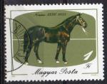HONGRIE N 2988 o Y&T 1985 Bicentenaire de l'levage de chevaux
