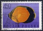 POLOGNE N 1604 o Y&T 1967 Poisson s exotique (Chaetodon malaptera)