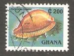 Ghana - Scott 1357e   shell / conque