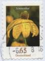 Allemagne/Germany 2009 - Fleur/Flower : rudbeckia - YT 2532 