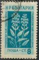 Bulgarie 1953 - Plante mdicinale : sauge officinale, 8 cm - YT 772 