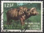 Cte d'Ivoire (Rp.) 1983 - Buffle d'Afrique - YT 652 