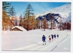 Carte Postale Moderne non crite France - Le ski de fond