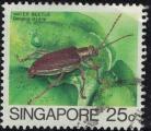 Singapour 1988 Oblitr Used Insecte Donacia Javana Y&T SG 459A SU