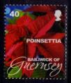 Guernesey 2008 - Fleur de Nol : poinsettia, 40p - YT 1236/SG 1261 **