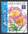 Belgique/Belgium 2009 - Fleurs: tulipes (ND bas), obl. ronde - YT 3853 