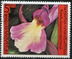 Timbre de BULGARIE 1986  Obl  N 2987   Y&T  Orchides