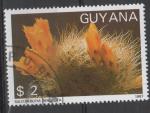 GUYANA N 1769 MN o Y&T 1988  Fleurs de cactus (Sulcorebutia deniseta)