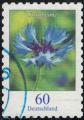 Allemagne 2019 Oblitr Fleur Kornblume Centaurea cyanus Bleuet Y&T DE 3103 SU