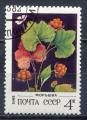 Timbre RUSSIE & URSS  1982  Obl   N  4887   Y&T   Fruit Faux Murier
