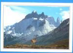 CPM documentaire imprim au dos CHILI Parc National de Paine Andes de Patagonie