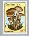 Burkina Faso 1985  Y&T PA 311      M 1060    Sc 749    Gib 826 