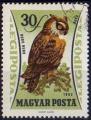 Hongrie 1962 - Oiseau : hibou, poste arienne, 30 f - YT A 250 