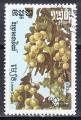 KAMPUCHEA - 1986 - Fruit  - Yvert 685 Oblitr