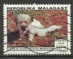 Madagascar 1974; Y&T n 547; 50F faune, chien, Coton de Tullear