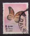 Sri Lanka : Y.T. 501 - Papillon - oblitr - anne 1978