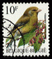 Belgique 1992 - Y&T 2461 - oblitr - oiseau (verdier)