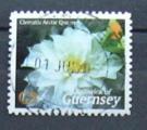 Guernesey : n 1001 obl