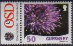 Guernesey 2008 - Fleur, photo R. Evison : jasione - YT 1186/SG 1215 **