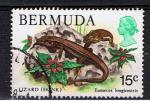 Bermudes / 1979 / Lzards  / YT n 394 oblitr