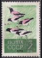 URSS N° 2609 de 1962 oblitéré 