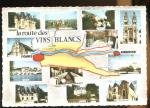 CPM non crite Val de Loire La Route des Vins Blancs