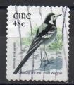 IRLANDE N 1548 o Y&T 2003 Oiseaux (Bergeronnette grise)