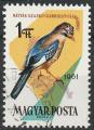 Timbre oblitr n 1481(Yvert) Hongrie 1961 - Oiseau, geai
