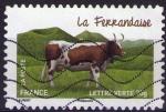 964 - Vaches de nos rgions: la Ferrandaise - oblitr - anne 2014