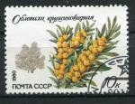 Timbre Russie & URSS 1980  Obl  N 4745  Y&T  Flore