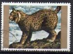 OUMM AL QAIWAIN N 1379A o MI 1972 Faune (Lynx) grand format