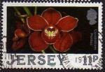Jersey 1988 - Orchide de Jersey: Cymbidium pontac, obl - YT 419/SG 433 