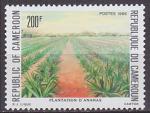 Timbre neuf ** n 814(Yvert) Cameroun 1986 - Plantation d'ananas