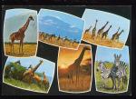 CPM Faune Animaux  GIRAFES & ZEBRES Multi-vues