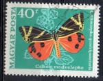 HONGRIE N 2034 o Y&T 1969 Papillons ( Callimorpha)