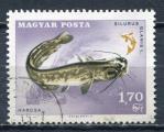 Timbre HONGRIE 1967  Obl  N 1913  Y&T  Poissons