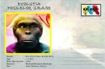 Vignette de fantaisie, Human Fossil Evolution, Kenyanthropus platyops