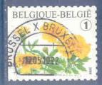 Belgique N3767 Oeillet d'Inde (non dentel  gauche) oblitr