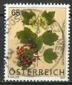 Autriche 2007; Y&T n 2507; 0,65, fleurs, fruits & feuillage