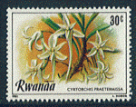 Rwanda 1981 - YT 975 - oblitr - Cyrtorchis praetermissa