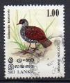 Sri Lanka - Oiseau - Oblitr