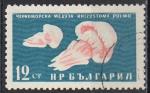 Bulgarie 1961; Y&T n 1081; 12s; faune, mduses