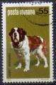 ROUMANIE N 3314 o Y&T 1981 Exposition canine (Saint Bernard)