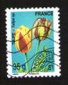 Oblitr Used Stamp Tulipe Tulipa sp. 35 g Timbre problitr FRANCE 2011
