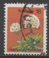 AUSTRALIE N 576 o Y&T 1975 Fleurs (Helichrysum thomsonii)