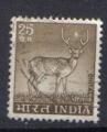 INDE 1974 - YT 402 - Chital, Axis Deer (Axis axis)