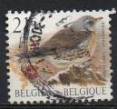 BELGIQUE N 2792 o Y&T 1998 Oiseau (Grive Litorne)