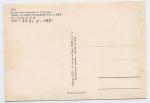 Carte Postale Moderne Bouches du Rhne 13 - Les Saintes-Maries de la Mer, Tiki