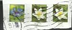 Allemagne timbre oblitr  Fleur : Kornblume et Buschwindroschen